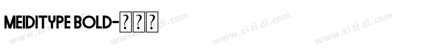 MEIDITYPE BOLD字体转换